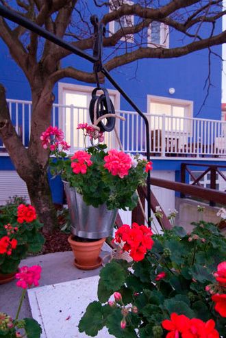 Bellolar Forgar Residencial plantas